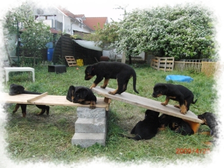 Spielplatz1-3.jpg