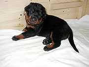 woche 3