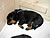 woche 3