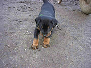 woche 5