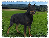 urion