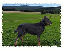 urion