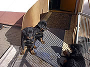 tag 1