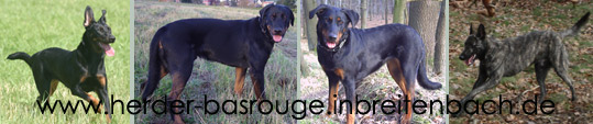 herder basrouge breitenbach