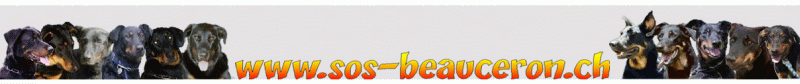 herder basrouge breitenbach