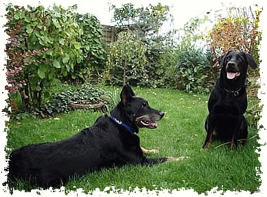 Moogly und Ayla