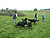 welpentreffen